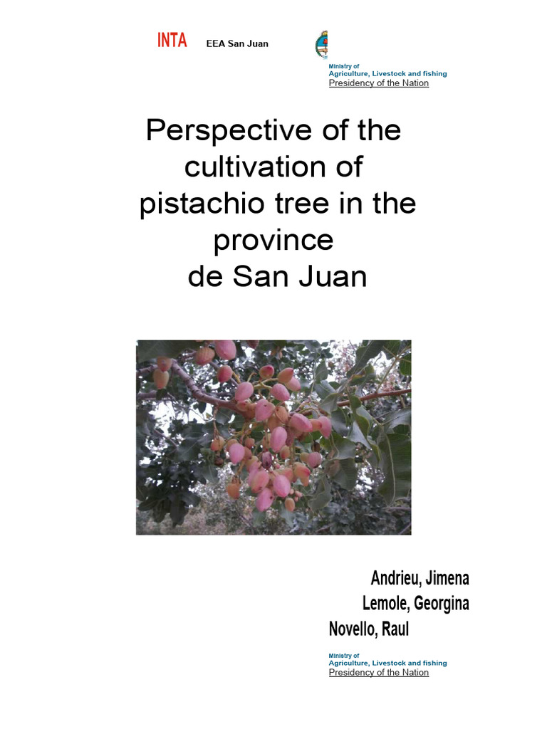 Pistachio Cultivation in San Juan Analysis | PDF | Agriculture | Flowers