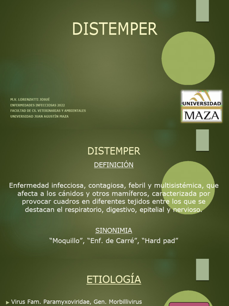 Distemper en Caninos: Causas y Tratamiento | PDF | Especialidades ...