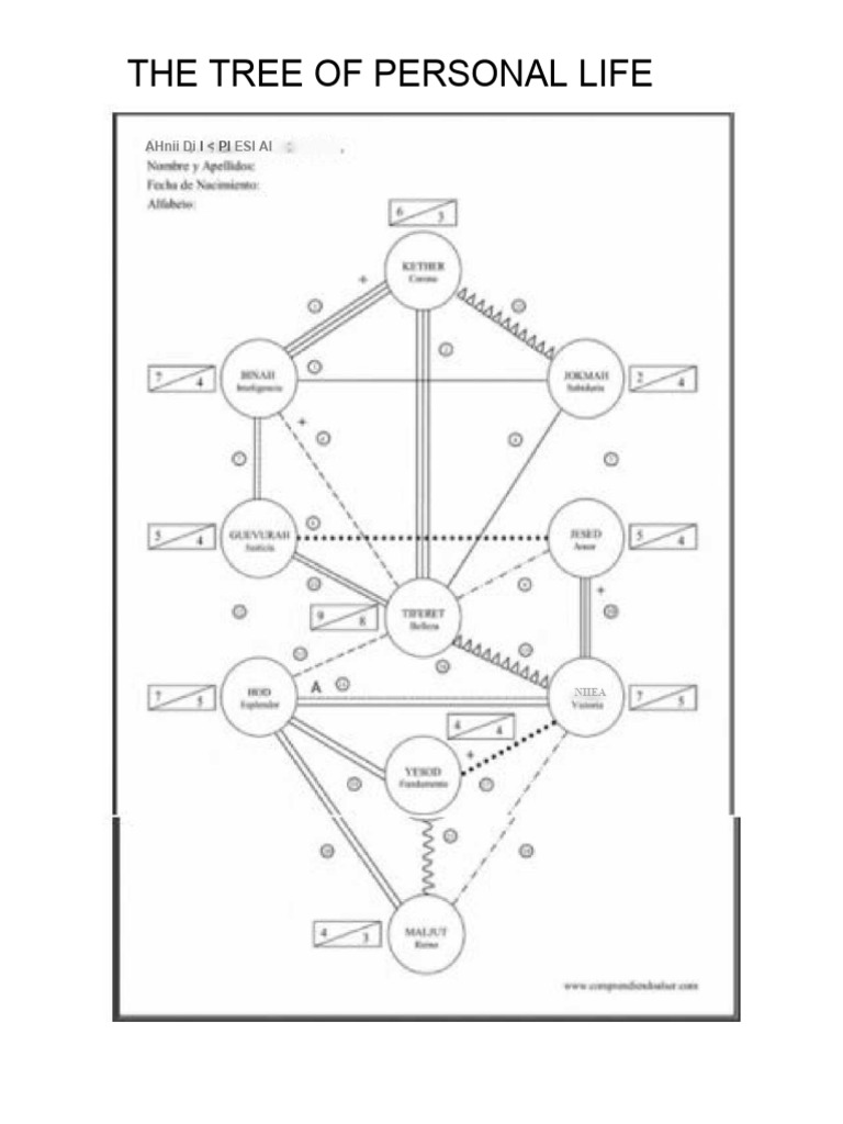 The Personal Tree of Life | PDF
