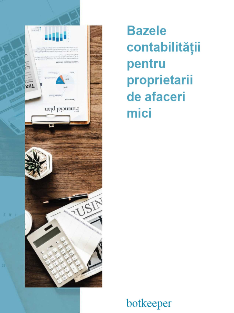 Ebook Noțiuni de Bază Ale Contabilității | PDF