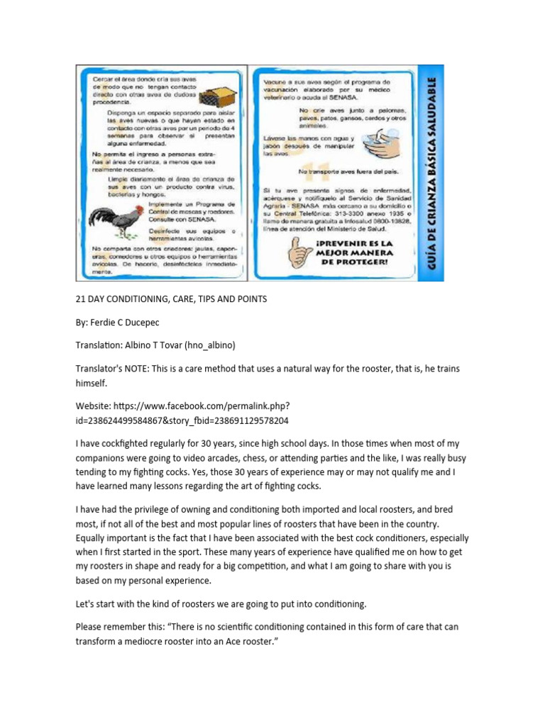21 Day Conditioning Roosters PDF Nutrition Diet & Nutrition