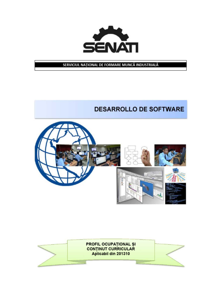 Profil de Dezvoltare Software | PDF
