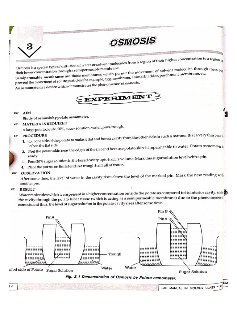 Study of Osmosis by Potato Osmometer PDF