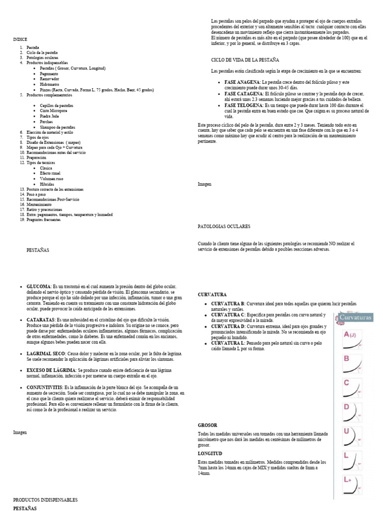 Tipos y cuidados de extensiones de pestañas | PDF | Ojo humano | Ojo