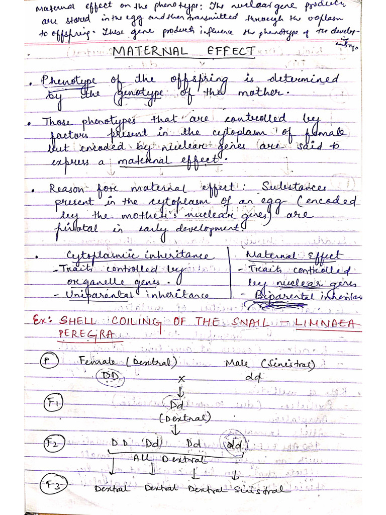 Maternal Effect | PDF
