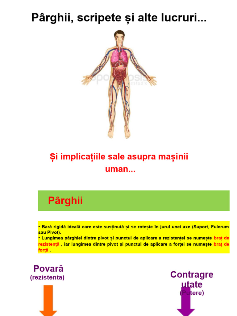 Pârghii Și Scripete | PDF