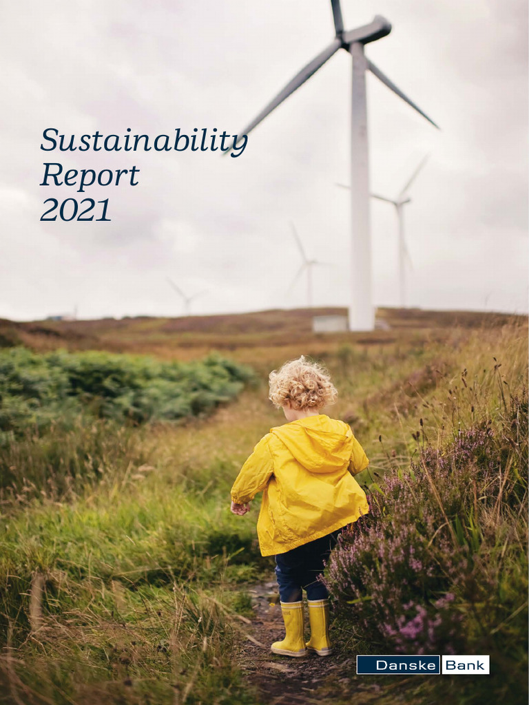 Sustainability Report 2021 Pdf Sustainability Banks