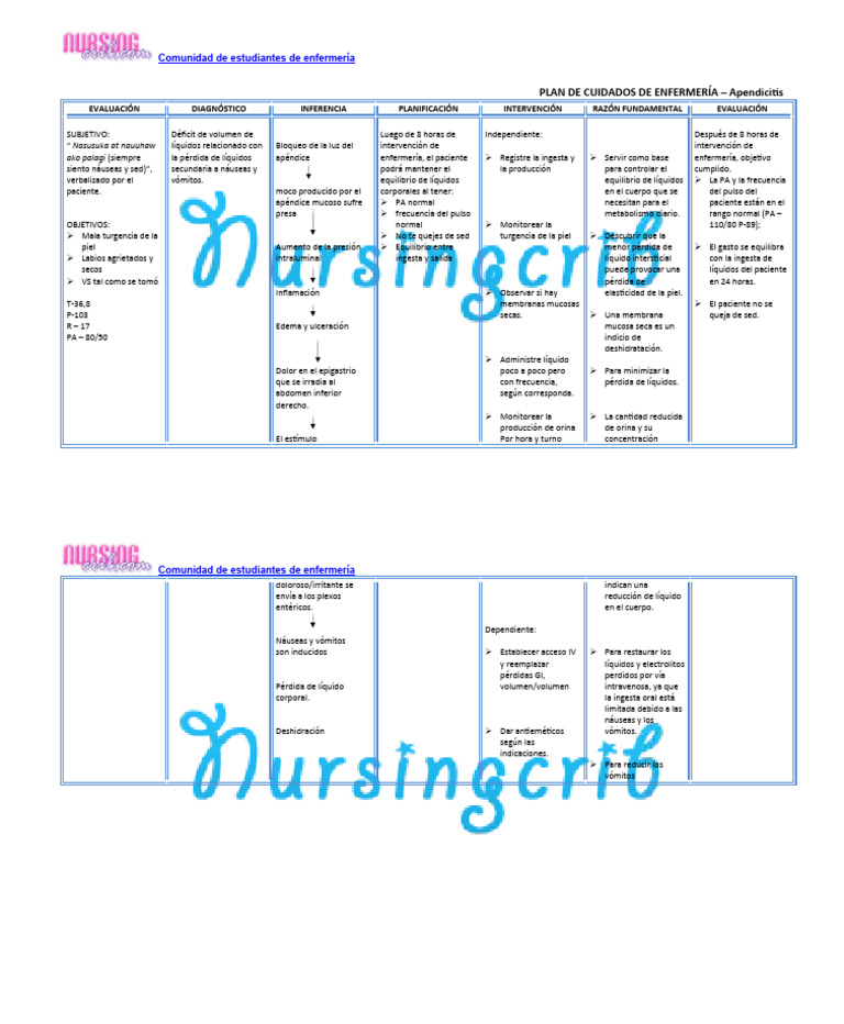 Plan de Cuidados de Enfermería para La Apendicitis NCP | PDF | Vómitos ...