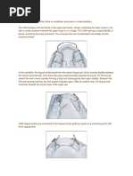 Overview of Bite Raisers in Orthodontics | PDF | Orthodontics | Dental ...