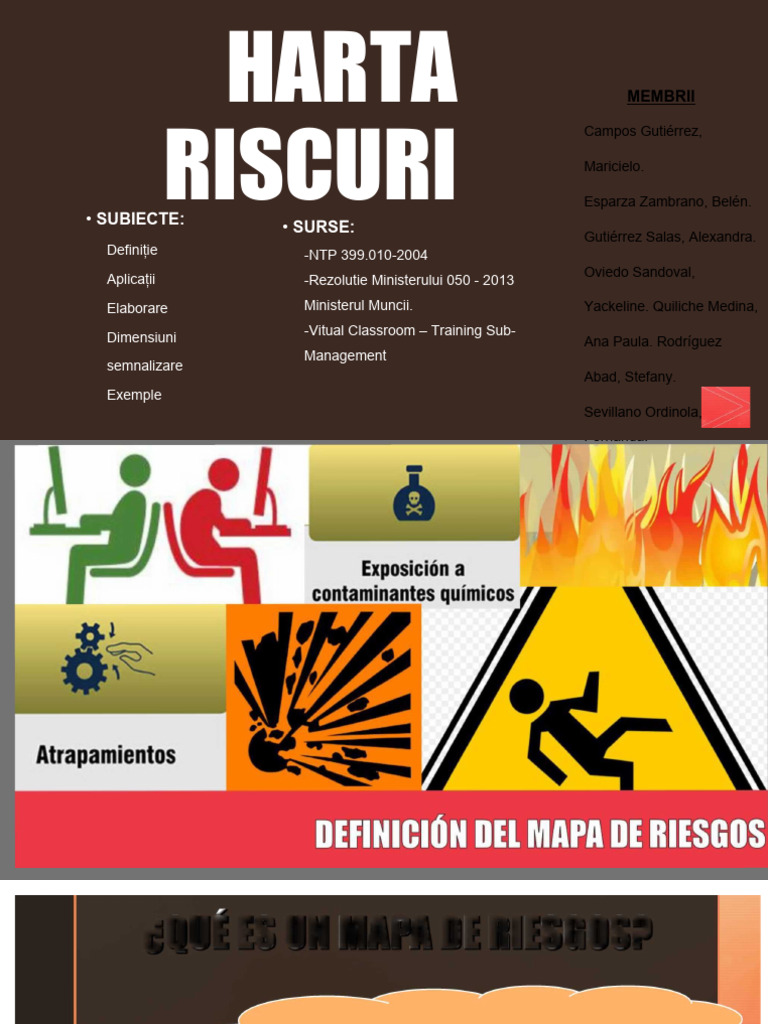 Harta Riscurilor | PDF