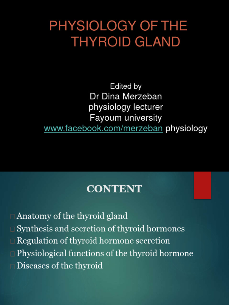 Thyroid Gland Physiology Overview | PDF | Thyroid | Hyperthyroidism