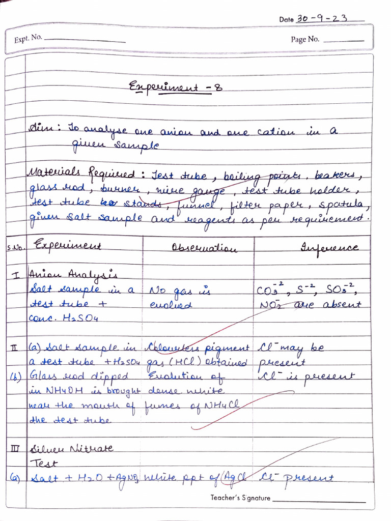 Chemical Experiment Documentation | PDF | Foreign Language Studies