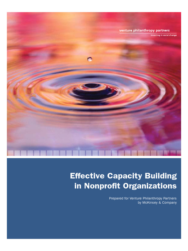 McKinsey - Effective Capacity Building in Nonprofit Organizations | PDF ...