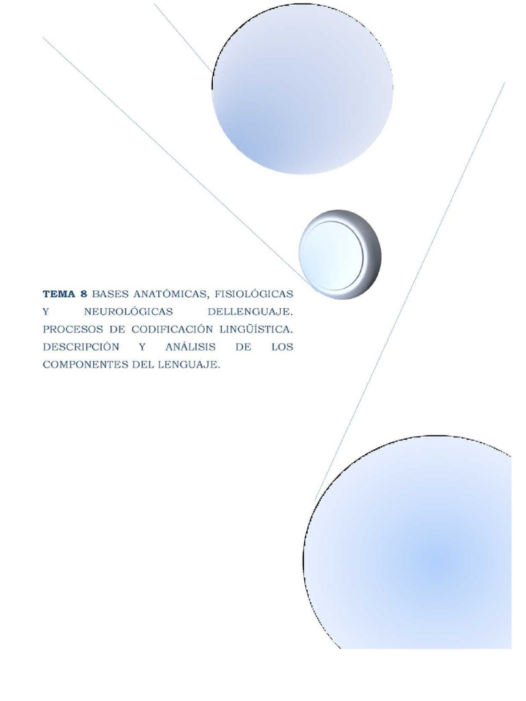 Tema 8 Auzul Și Limbajul Bazele Anatomice | PDF