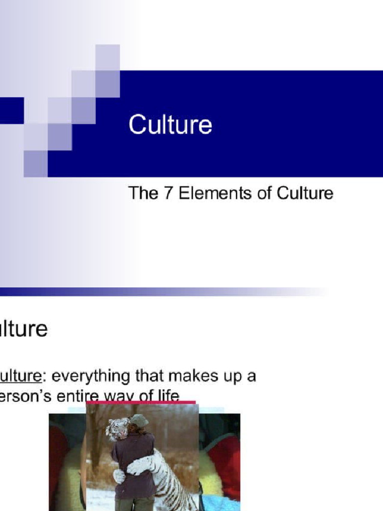 7 Elements Of Culture Pdf