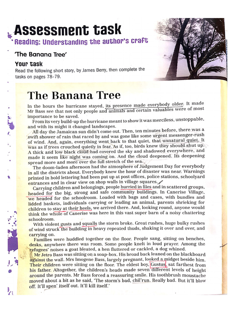 Summary Of The Banana Tree Story
