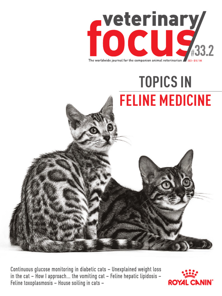 Vet Focus 332 | PDF | Diabetes Management | Hypoglycemia