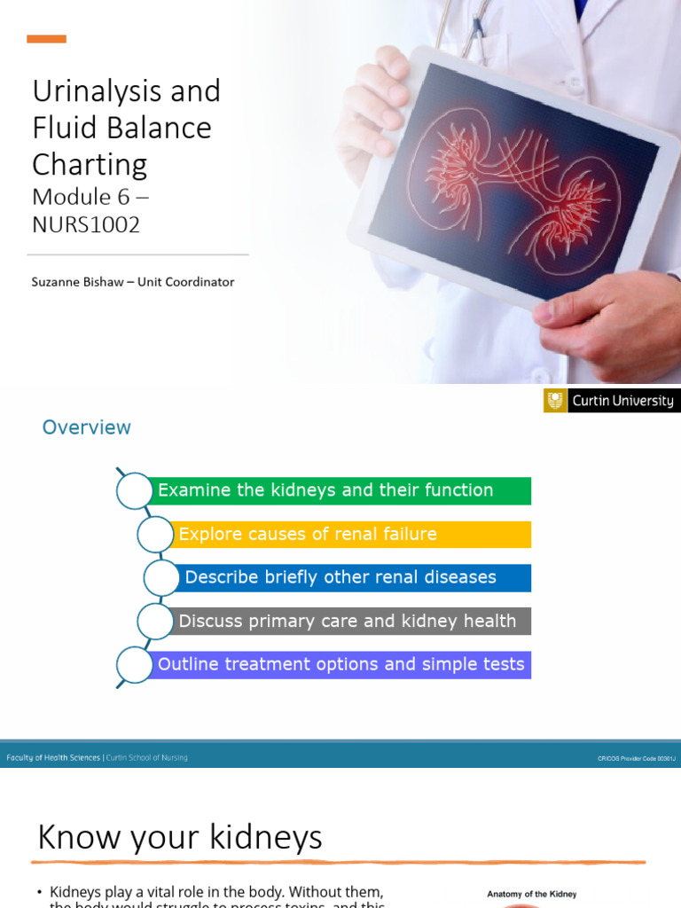 Urinalysis And Fluid Balance Pdf Kidney Kidney Disease