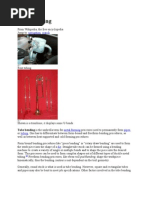 Download Tube Bending by Rohan Paunikar SN74652192 doc pdf