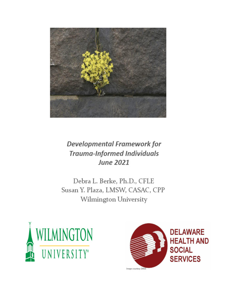 Trauma-Informed Care Development Framework | PDF | Psychological Trauma ...
