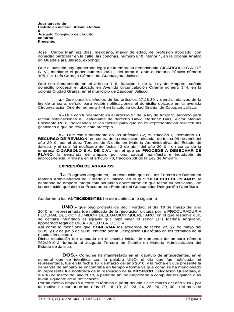 Recurso de Revisión de Amparo | PDF | Gobierno | Justicia