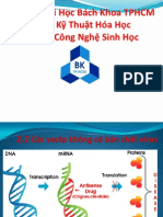 Các vecto không có bản chất virus