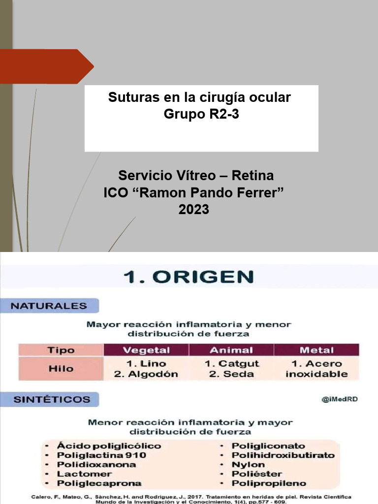 Su Turas | PDF | Sentidos | Cara