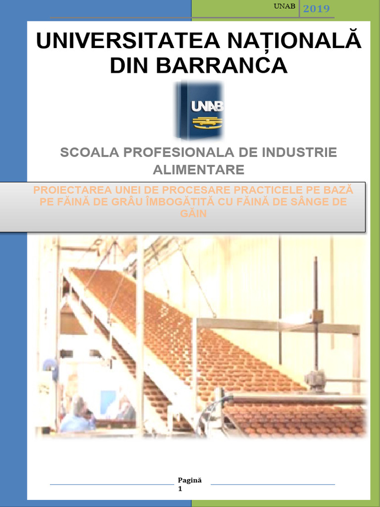 Finisare Proiectare Instalatie de Procesare Biscuiti | PDF