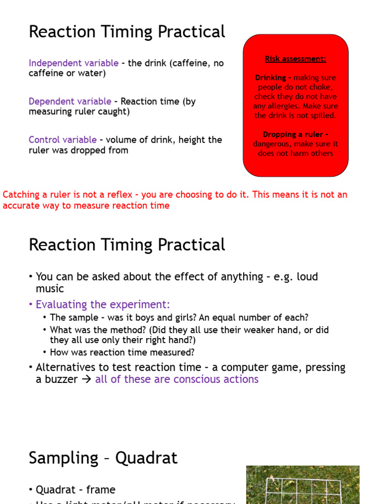Paper 2 Required Practicals | PDF