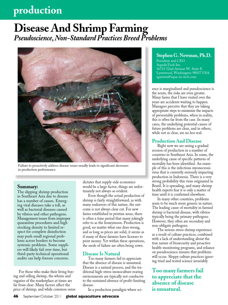 Disease and Shrimp Farming Pseudoscience, Non Standard Practices Breed ...
