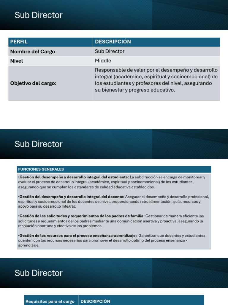 Perfil Subdirector Junio 2024 2 | PDF | Maestros | Evaluación