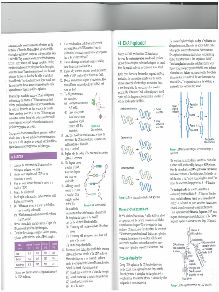 DNA Replication Repair and Organelles DNA | PDF