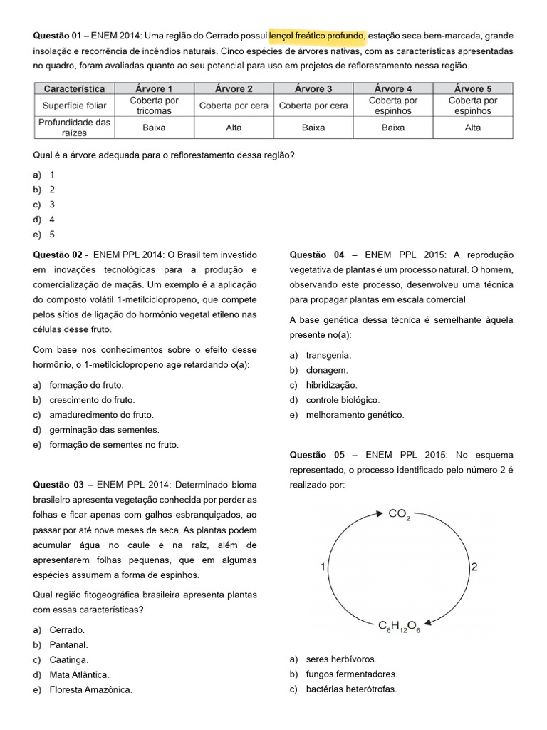 Questões de Biologia do ENEM: Análise e Respostas | PDF | Plantas | Folha