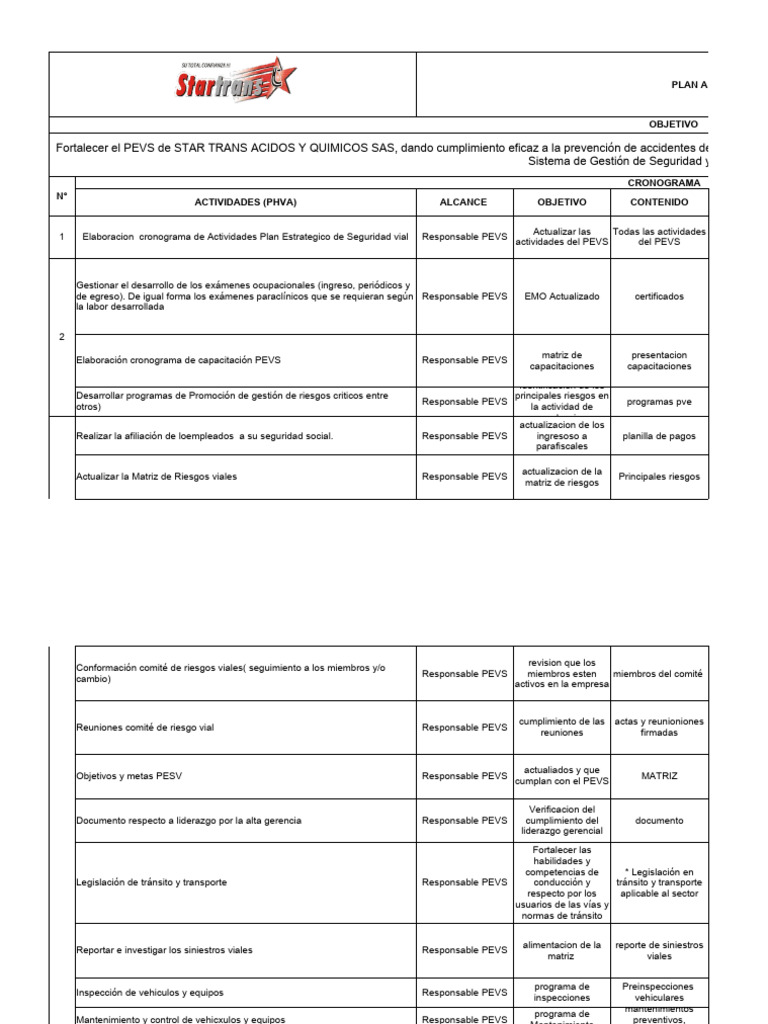 Plan Anual de Seguridad Vial 2024 | PDF