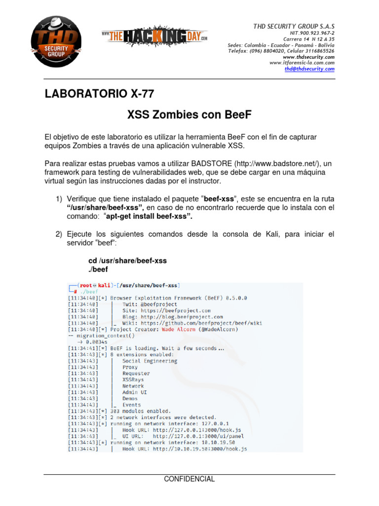 Laboratorio XSS con BeeF y BADSTORE | PDF | Informática | Software