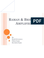 Raman &amp Brillouin Amplifiers