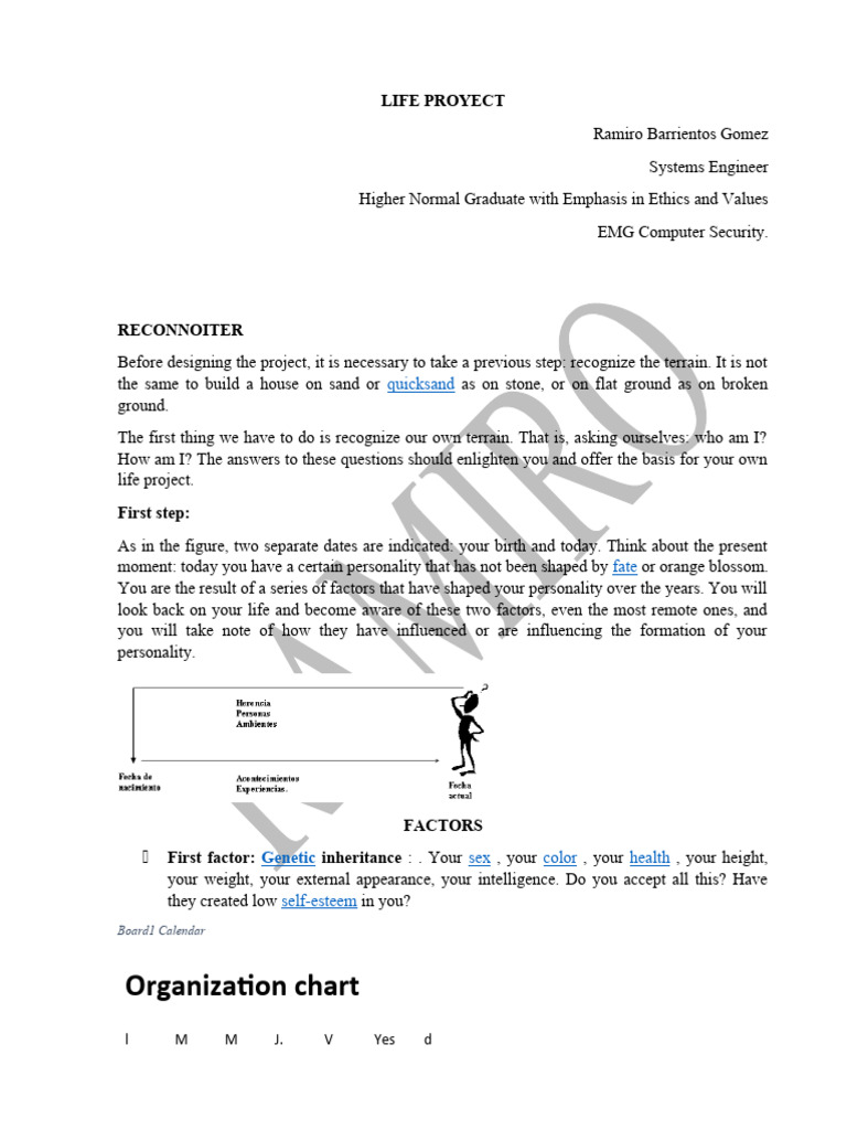 Personal Life Project Analysis Guide | PDF | Psychological Concepts ...