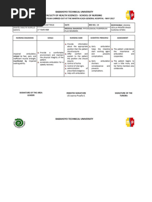 PAE-Nursing Care Plan