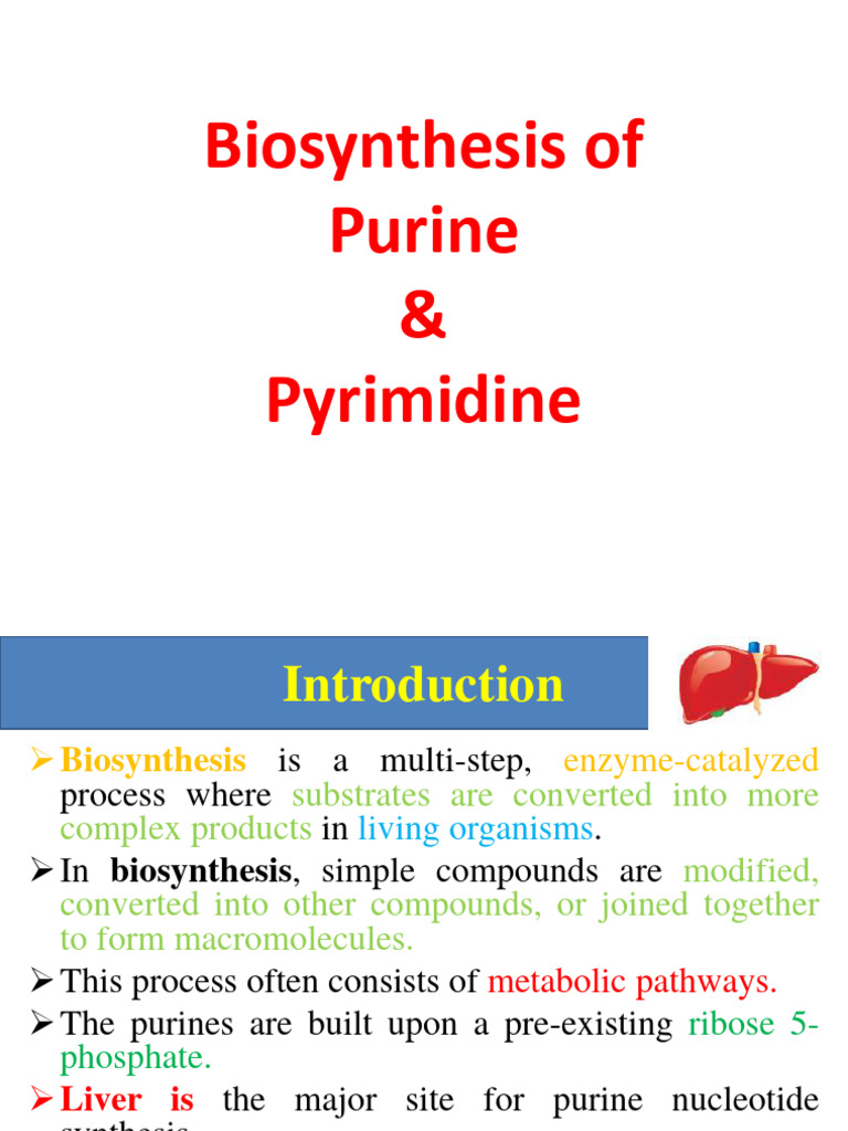 Biosynthesisof 190408140232 | PDF | Biosynthesis | Nucleotides