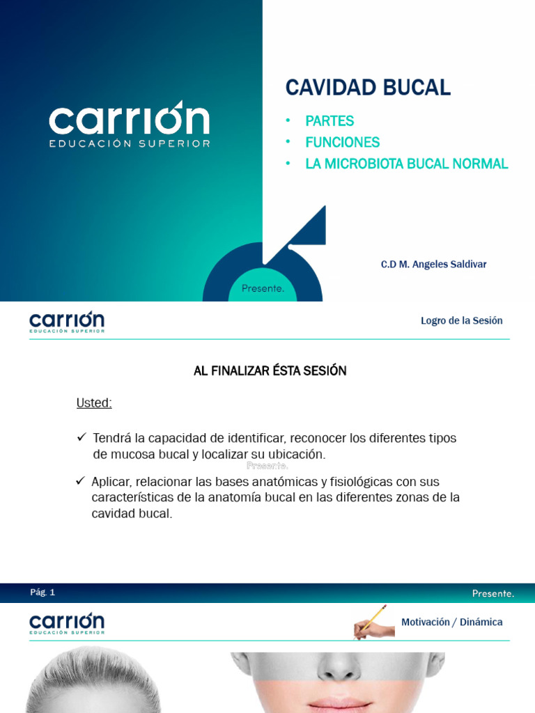 Clase Cavidad Bucal | PDF | Boca