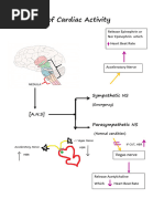 Acls Cheat Sheet PDF | PDF | Cardiopulmonary Resuscitation | Cardiac Arrest