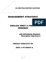 Management Strategic - Analiza SWOT a Firmei Dedeman