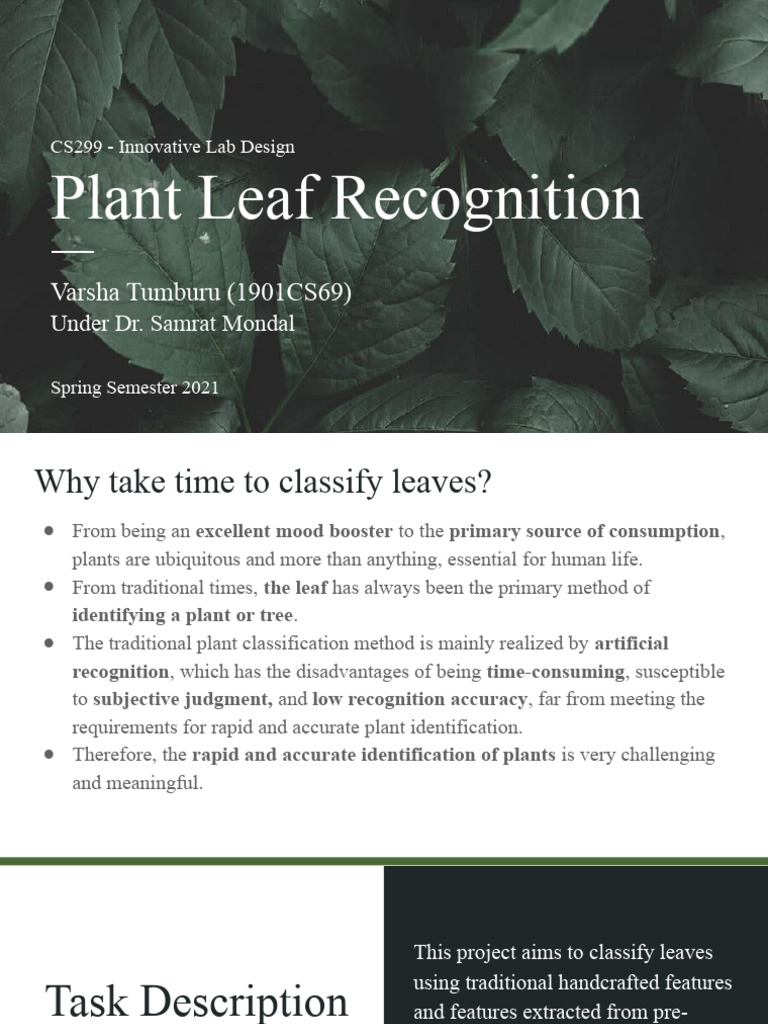 Leaf Classification Using CNN Techniques | PDF | Learning | Cognitive ...