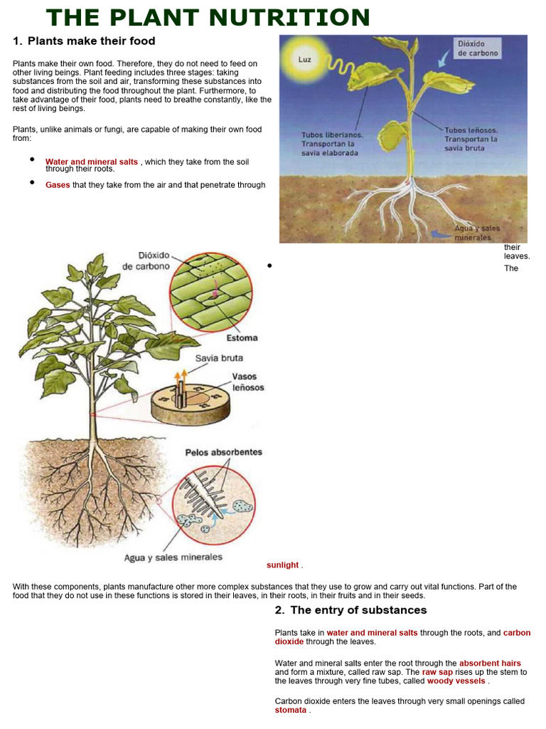 NUTRITION IN PLANTS QUESTION ANSWER PDF visual data 7