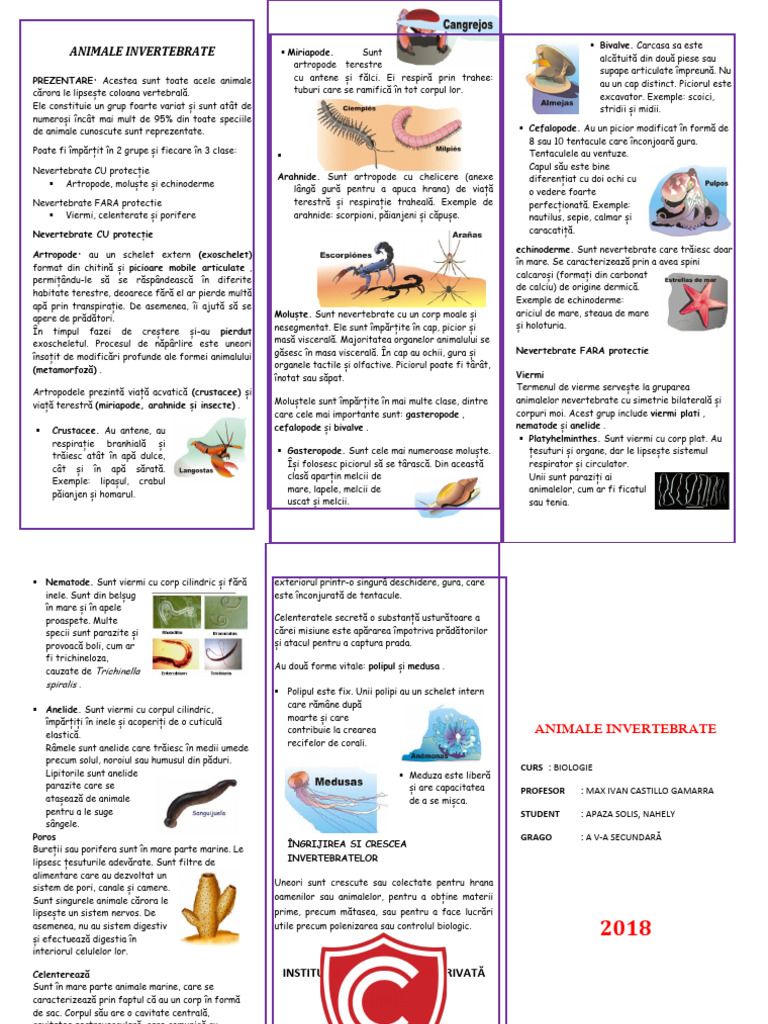 Animale Nevertebrate Triptic | PDF