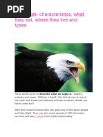 Bald Eagle Pdf