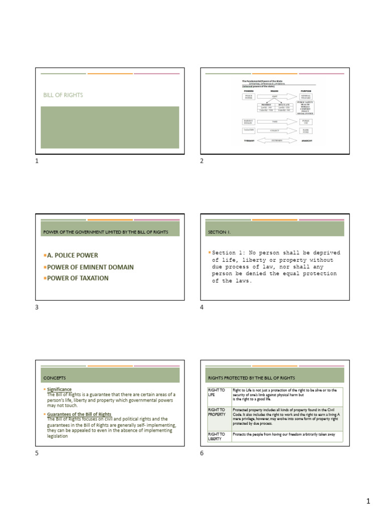 Understanding the Bill of Rights | PDF | Search Warrant | Search And ...