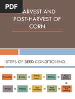 Corn Growth and Development Poster | PDF | Seed | Maize