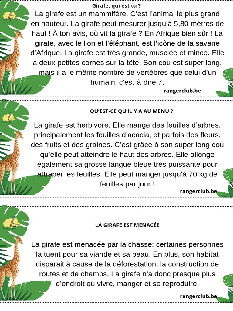 La girafe : un animal menacé | PDF | Girafe | Zoologie, image size:768x1024