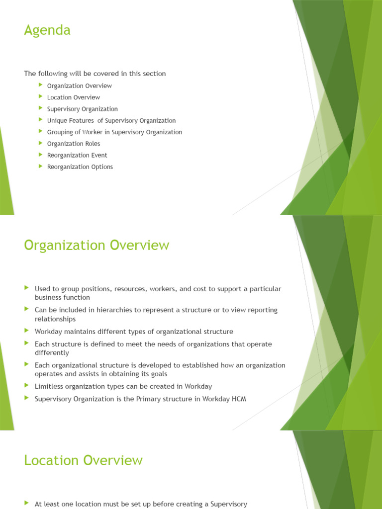 2.1 - Concepts - Organization Structures - WD24 - Raptor | PDF ...